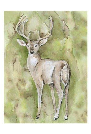Framed Sterling Deer Print
