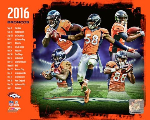 Framed Denver Broncos 2016 Team Composite Print
