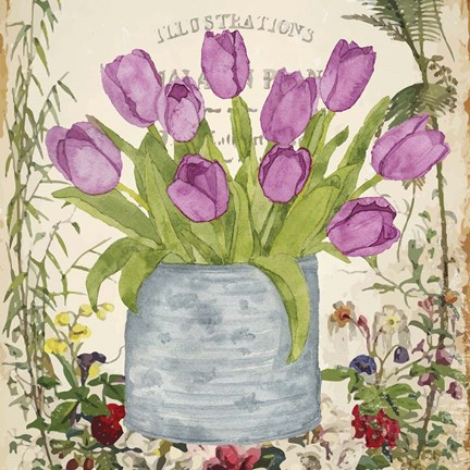 Framed Vintage Tulip Can II Print