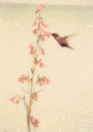 Framed Enchanted Hummingbird Print