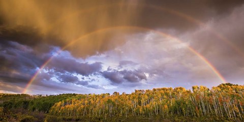 Framed Double Rainbow Print