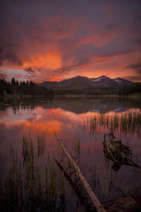 Framed Sunset Reflections Print