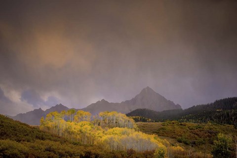 Framed Mountain Aspens Print