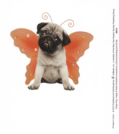 Framed Wings - Pug Print