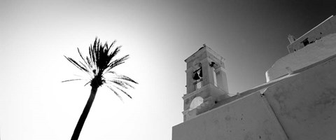 Framed Low angle view of a palm tree near a church , Ios, Greece Print
