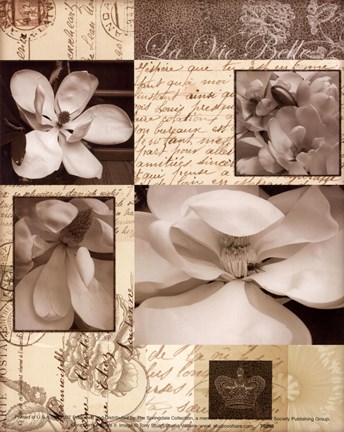 Framed Flora Carte Postale II Print