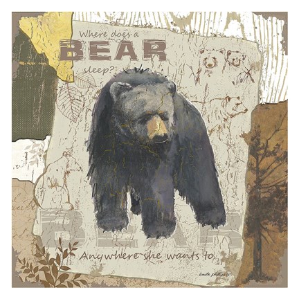 Framed Bear Sleep (square) Print