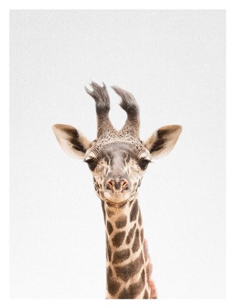 Framed Giraffe Print