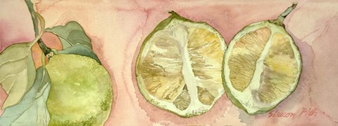 Framed Limes In Sicily Print
