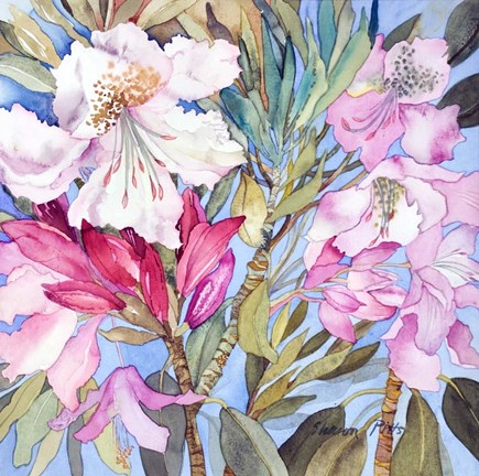 Framed Rhododendron I Print