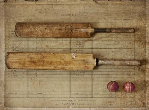 Framed Cricket Print