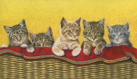 Framed Five Kittens In Basket Print