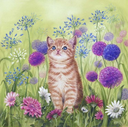 Framed Ginger Kitten In Flowers Print