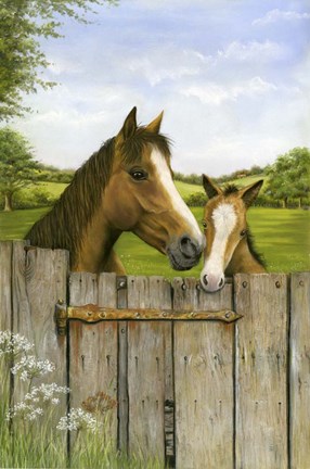 Framed Mother And Foal Print