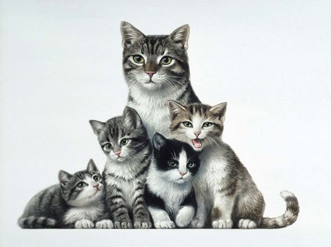 Framed Cat Family Print