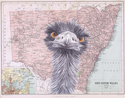 Framed Emu Print
