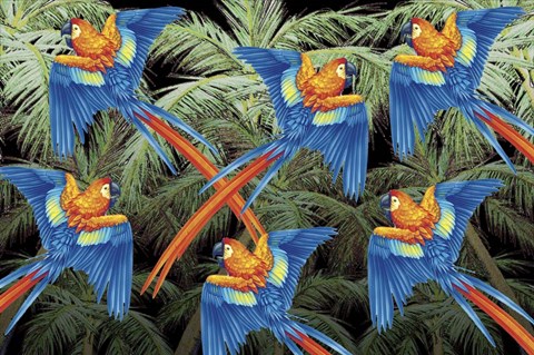 Framed Palm Parrot Print