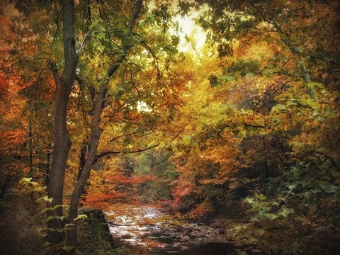 Framed Autumn Stream Print