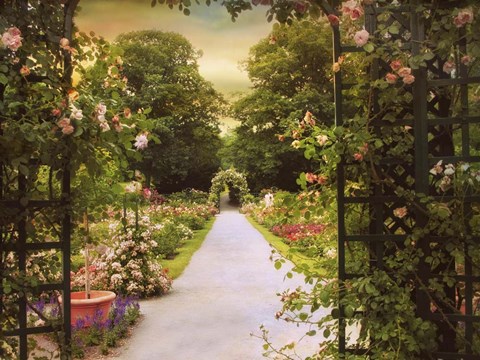 Framed Rose Garden Gate Print