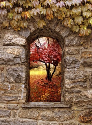 Framed Window to Autumn Print