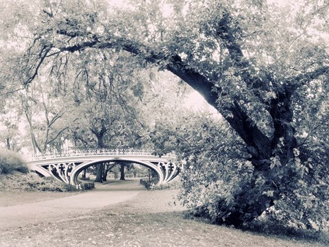 Framed Central Park Gothic Print