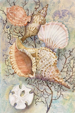 Framed Jewels of the Sea Print