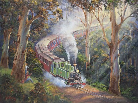 Framed Puffing Billy In Sherbrook Forest Print