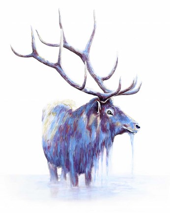 Framed Elk in Water Print