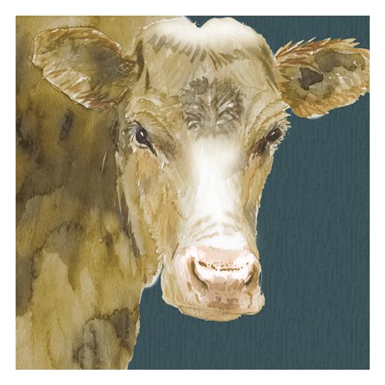 Framed Hogans Brown Cow Print