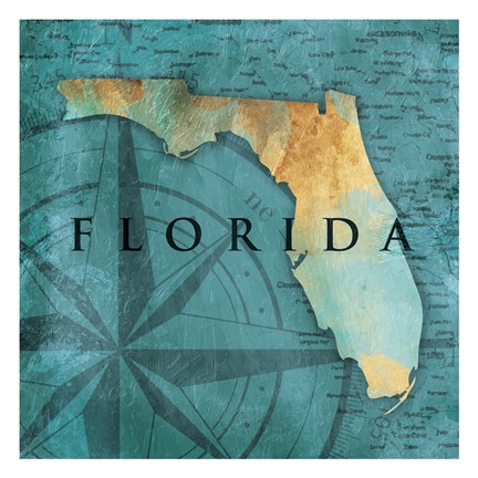 Framed Florida Sea Map Print