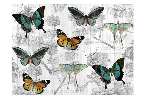 Framed Butterfly Dreams Print