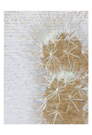 Framed Desert Cacti 2 Print