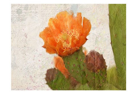 Framed Cacti Flower Print