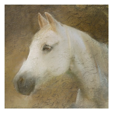 Framed Graceful Horse Print