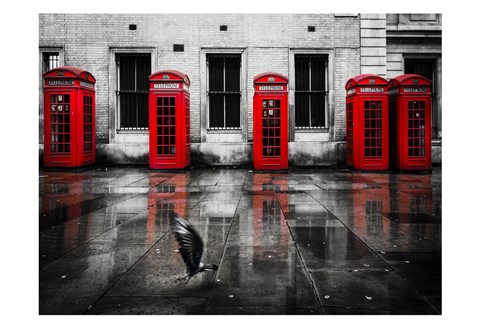 Framed London Phone Booths Bird Print