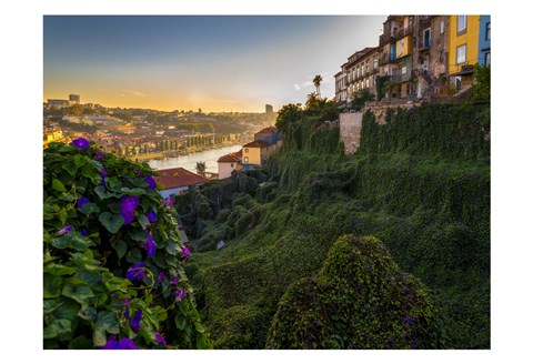 Framed Porto Portugal Gardens Print