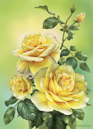 Framed Roses Yellow Print