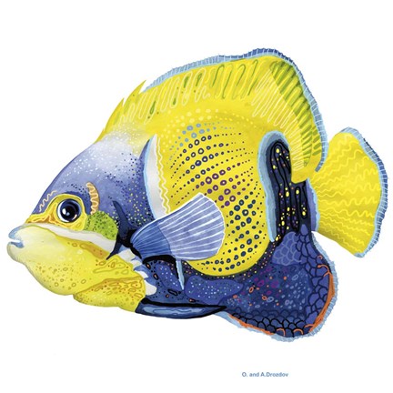Framed Fish 3 Blue-Yellow Print