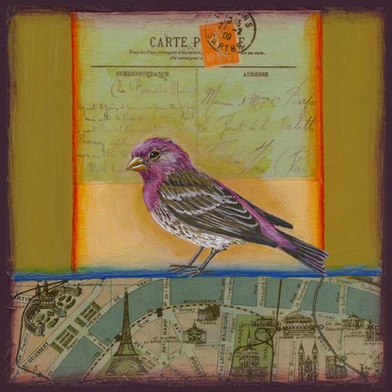 Framed Purple Finch Print