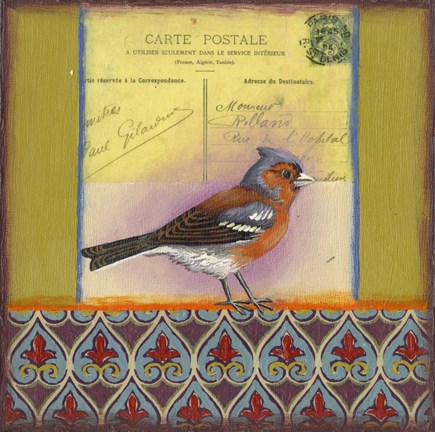 Framed Carte Postale Bird 4 Print