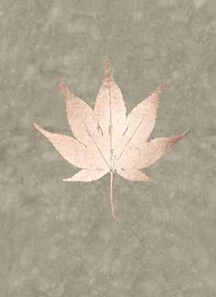 Framed Rose Gold Foil Leaf IV on Lichen Wash Print