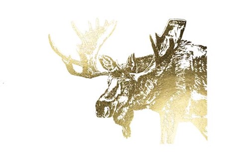 Framed Gold Foil Moose Print