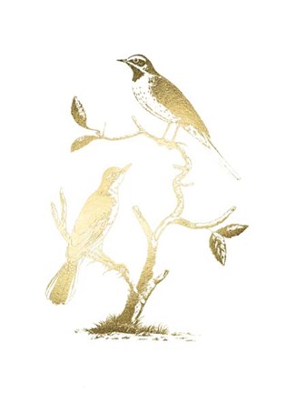 Framed Gold Foil Birds II Print