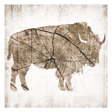 Framed Buffalo Rings Print
