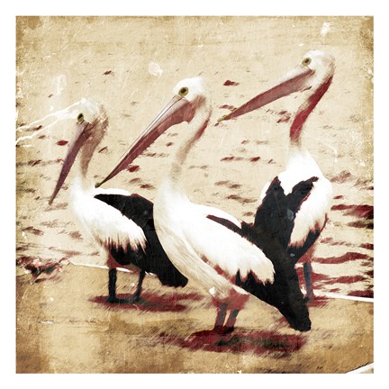 Framed Birds At Sea Print