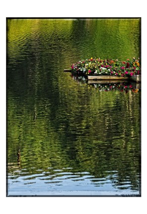 Framed Floating Garden Print