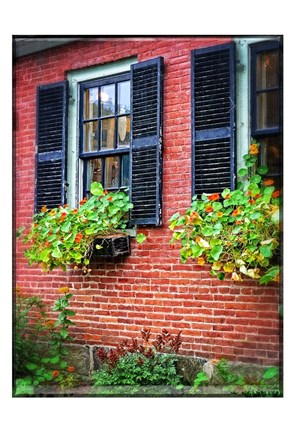 Framed Country Store Window Flowers Print