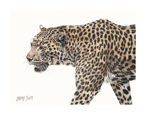 Framed Passing Leopard Print