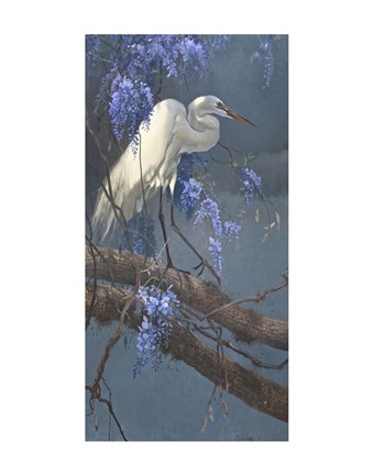 Framed Egret in Wisteria Print