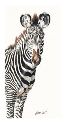 Framed Grevvy&#39;s Zebra Print